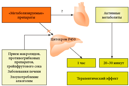 Особенности метаболизма Н1-АГП второго поколения
